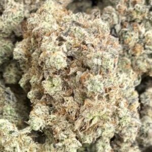 *EX* Kush Mints (50% sativa 50% indica)