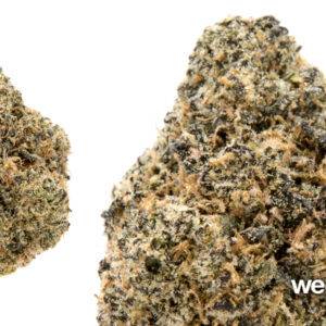 *EX* Runtz OG new grower