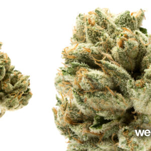 *PR* Medellin OG (5g for 55) new sticky batch
