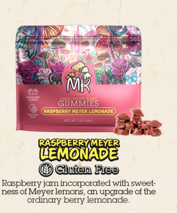 4g Raspberry lemonade Magic Kingdom Micro-dose Gummies