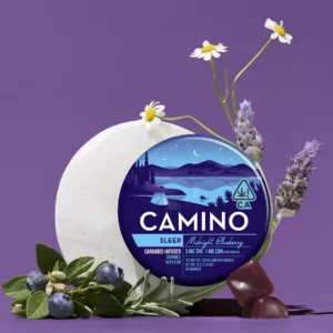Camino Sleep Gummies (Blueberry) 100mg THC, 20mg CBN