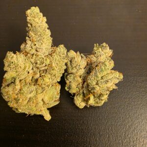 Master Gorilla