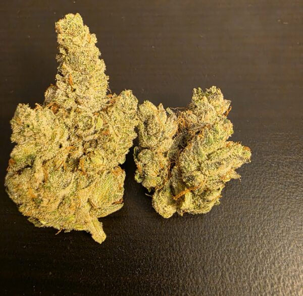 Master Gorilla