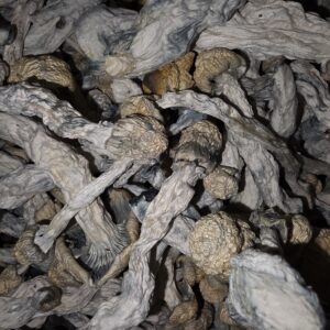 Wayward Brain Muff