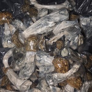 Jedi Mind Fuck new batch