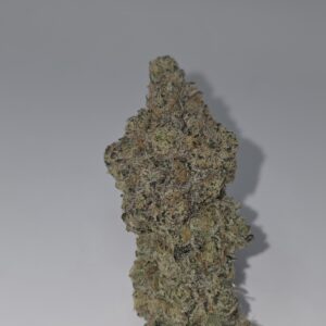 *EX* New Money (Purple Kush Cross) new fresh strain