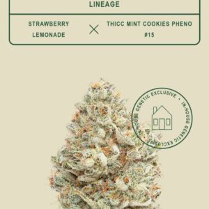 *EX* Cereal Milk (50% sativa, 50% indica)(CBX)