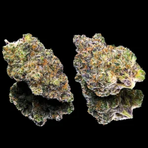 *EX* Key Lime Jack new strain (Maven)
