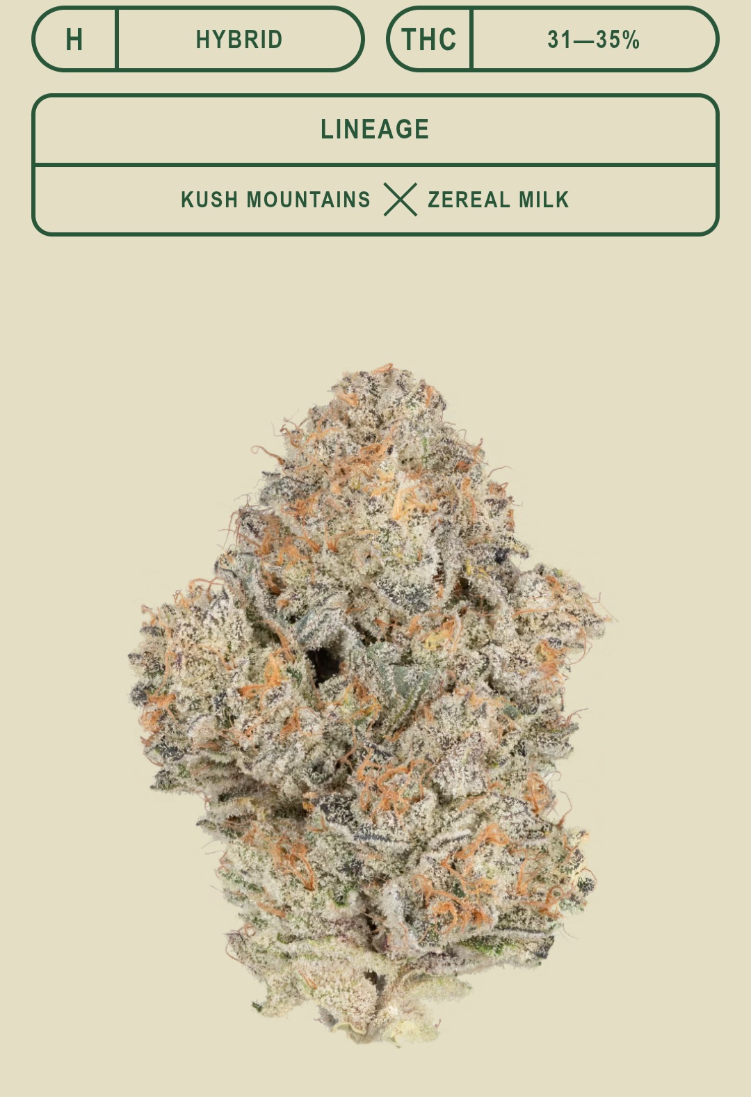 *EX* Mount Zereal Kush (25% sativa, 75% indica)(CBX)
