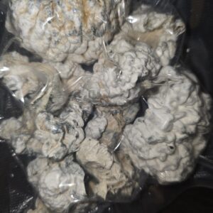 Enigma (1/4 per person)