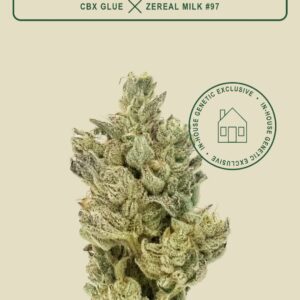 *EX* Glutopia (25% sativa, 75% indica)(CBX)