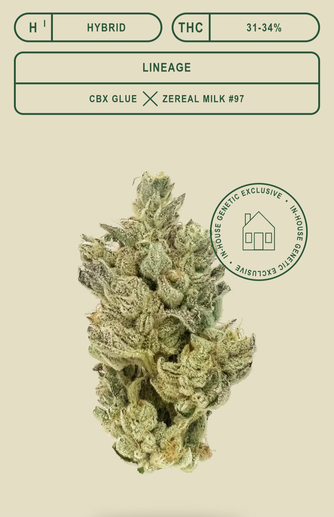*EX* Glutopia (25% sativa, 75% indica)(CBX)