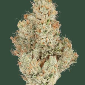 *PR* SFV OG (CBX Heirbloom)