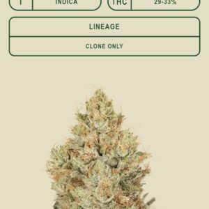 *PR* Red Eye OG (CBX) new strain