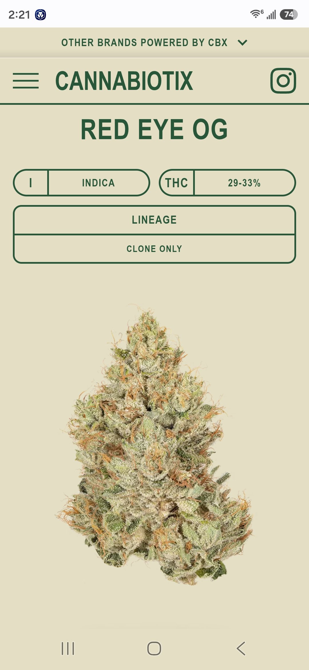 *PR* Red Eye OG (CBX) new strain