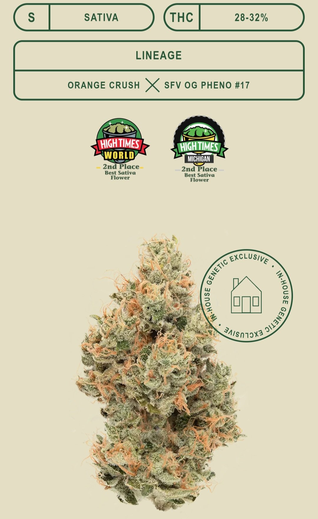 *EX* Tropicanna (CBX) new strain