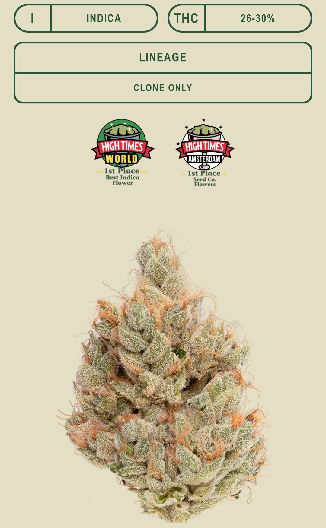 *EX* WhiteWalker OG (cbx) new sticky strain