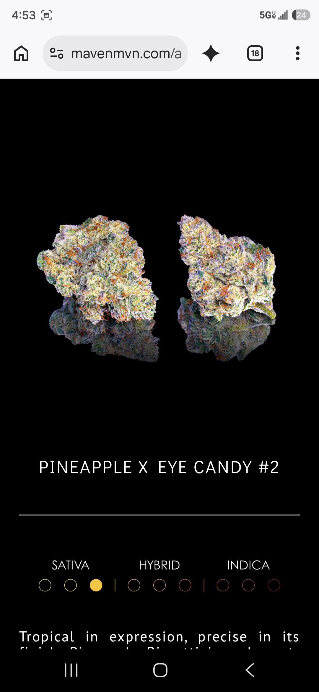 *EX* Pineapple Biscotti (Pineapple Express) new strain (Maven) - Image 2